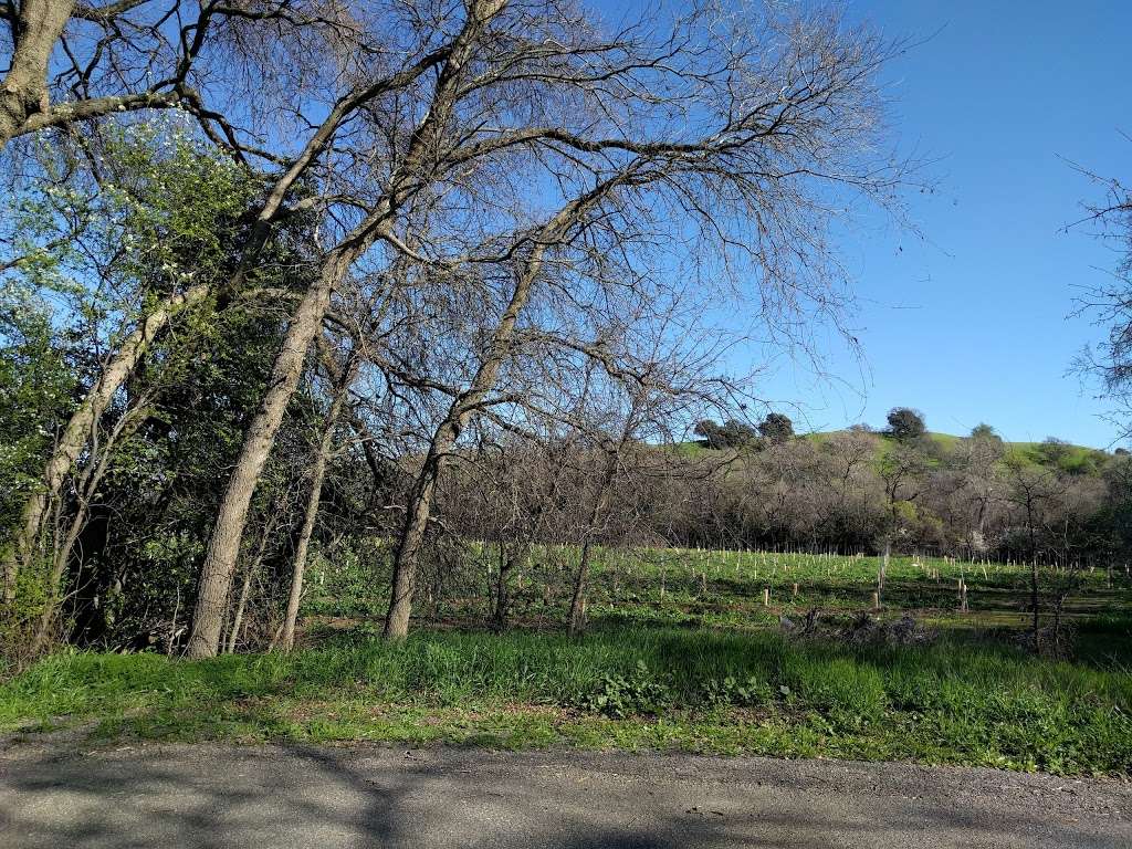 Peña Adobe Regional Park | 4699 Peña Adobe Rd, Vacaville, CA 95687, USA | Phone: (707) 449-6126