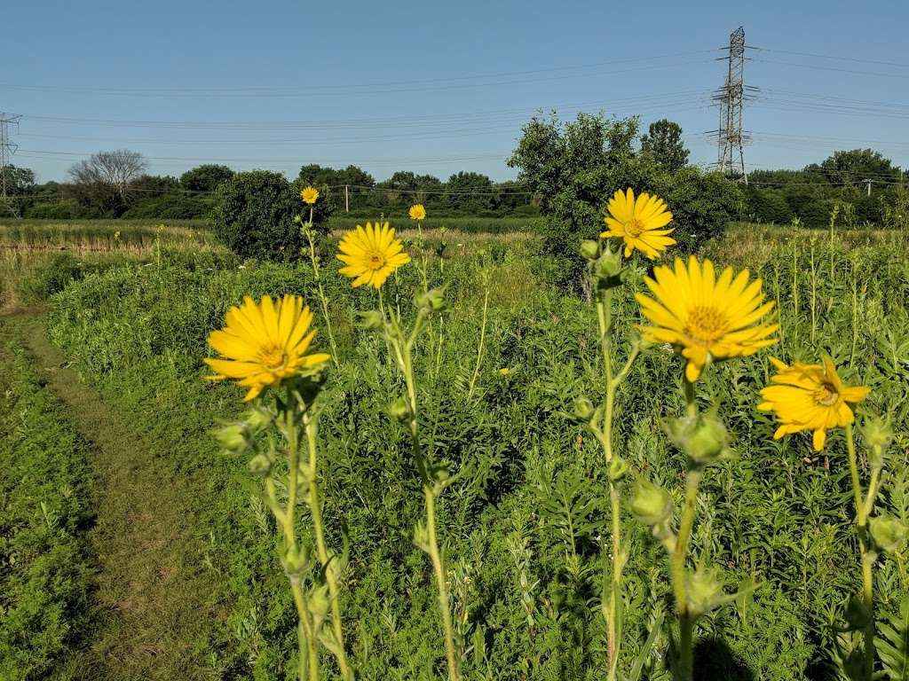 East Branch Off-leash Dog Park | 2N663 Swift Rd, Lombard, IL 60148 | Phone: (630) 933-7200