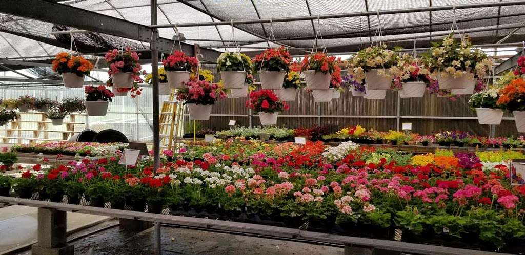 Bennett Farms Garden Center | 27720 Ocean Gateway, Hebron, MD 21830, USA | Phone: (410) 546-5232