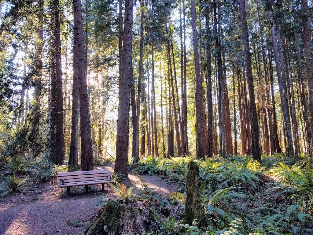 Tualatin Hills Nature Park | 15655 SW Millikan Way, Beaverton, OR 97006, USA | Phone: (503) 645-6433