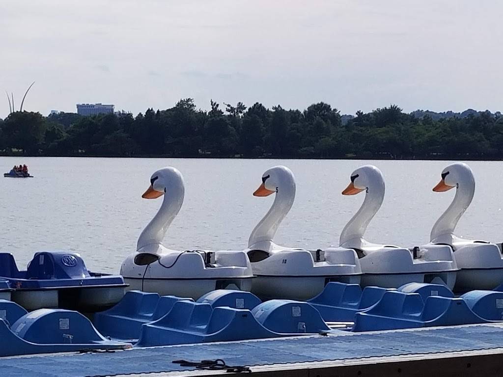 Tidal Basin Paddle Boats | 1501 Maine Ave SW, Washington, DC 20024, USA | Phone: (202) 337-9642