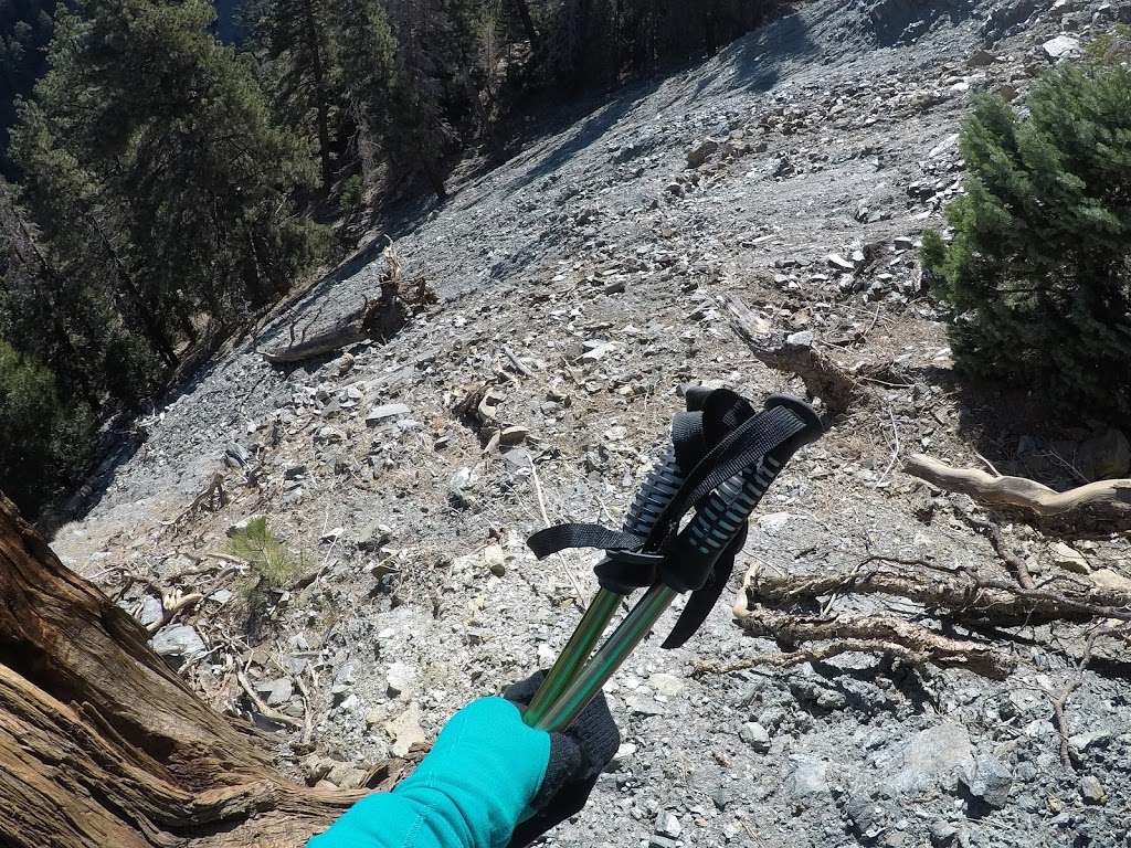 North Backbone Trail Head | Blue Ridge Truck Trail, Lytle Creek, CA 92358