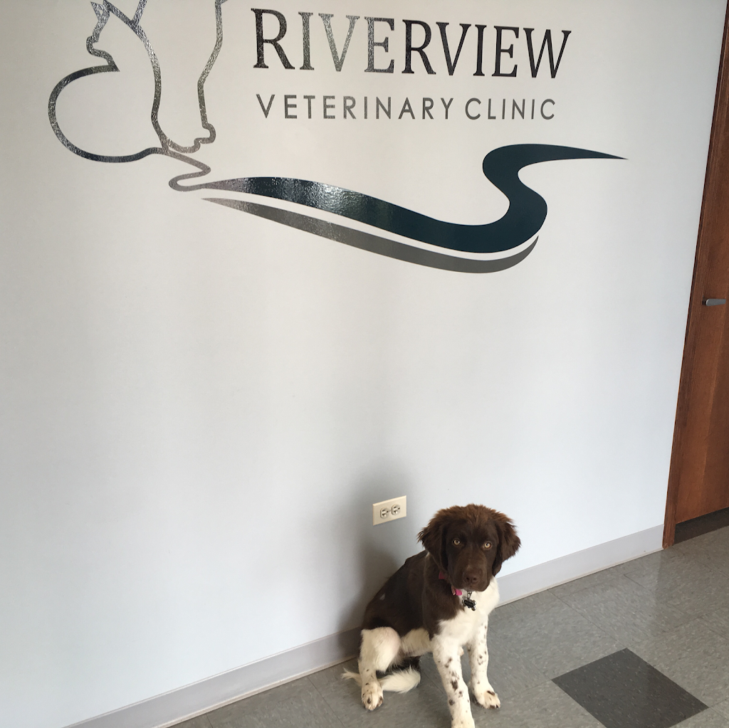Riverview Veterinary Clinic | 13400 IL-59 #124, Plainfield, IL 60585, USA | Phone: (815) 267-6138