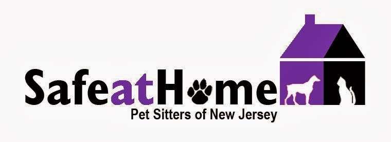 Safe at Home Pet Sitters | 726 Route 202 South, Suite 320-172, Bridgewater, NJ 08807, USA | Phone: (908) 707-2353