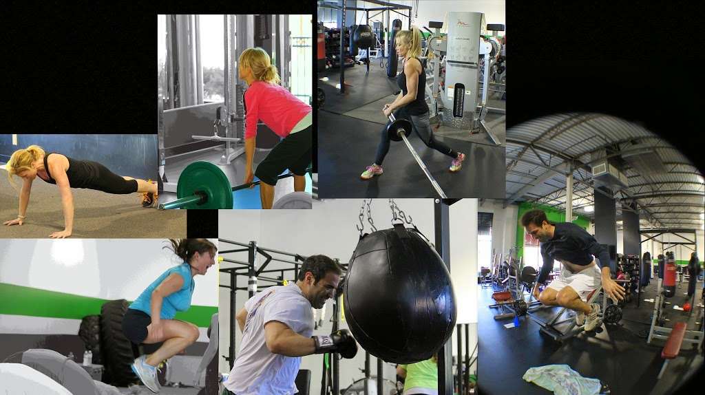 Survival Fitness | 233 E 175th St, Westfield, IN 46074, USA | Phone: (317) 942-3240