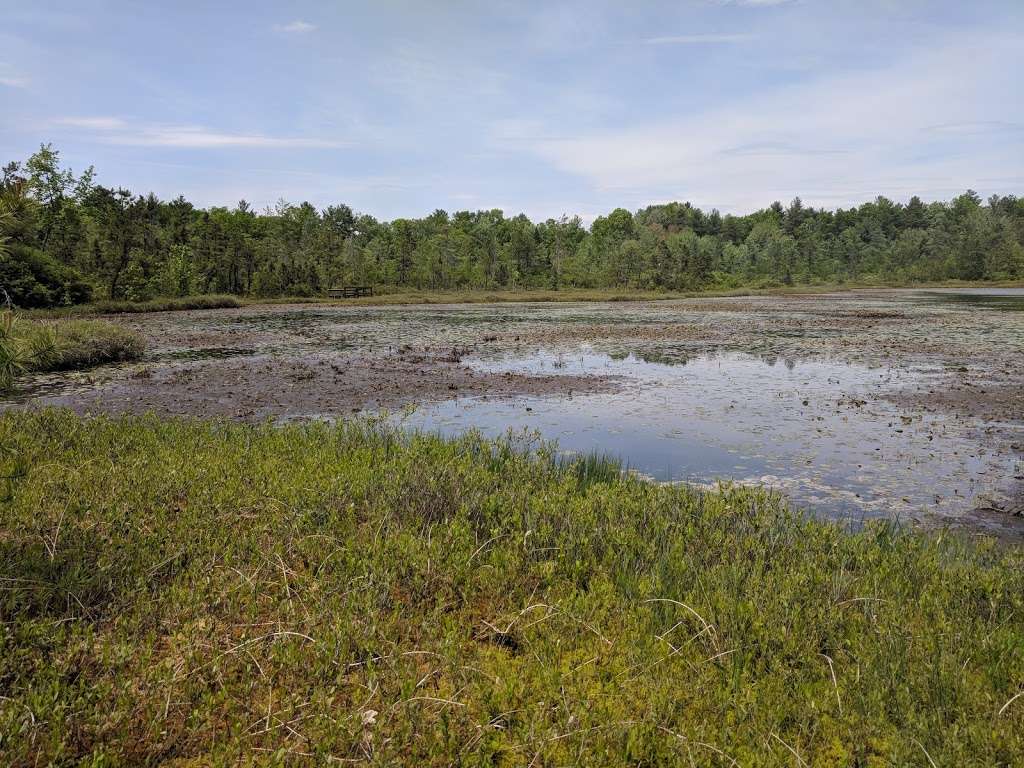 Ponemah Bog | Ponemah Bog Trail, Amherst, NH 03031, USA