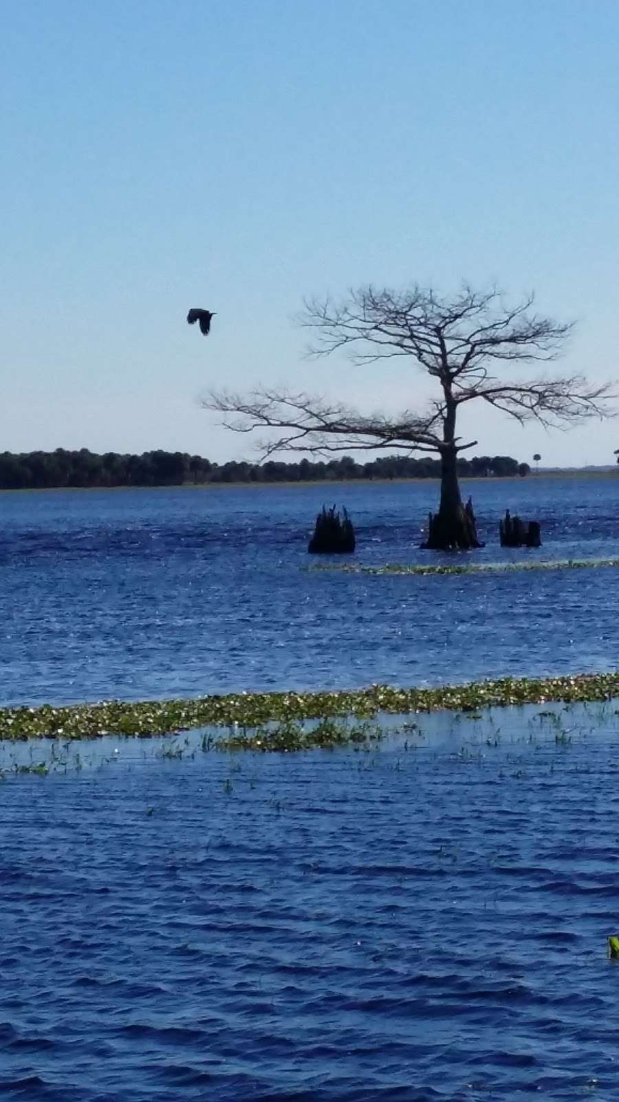 St. Johns National Wildlife Refuge | Titusville, FL 32781, USA | Phone: (321) 861-0667