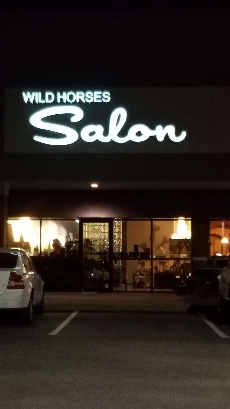 Wild Horses Salon Inc | 7035 E 96th St, Indianapolis, IN 46250 | Phone: (317) 841-1144