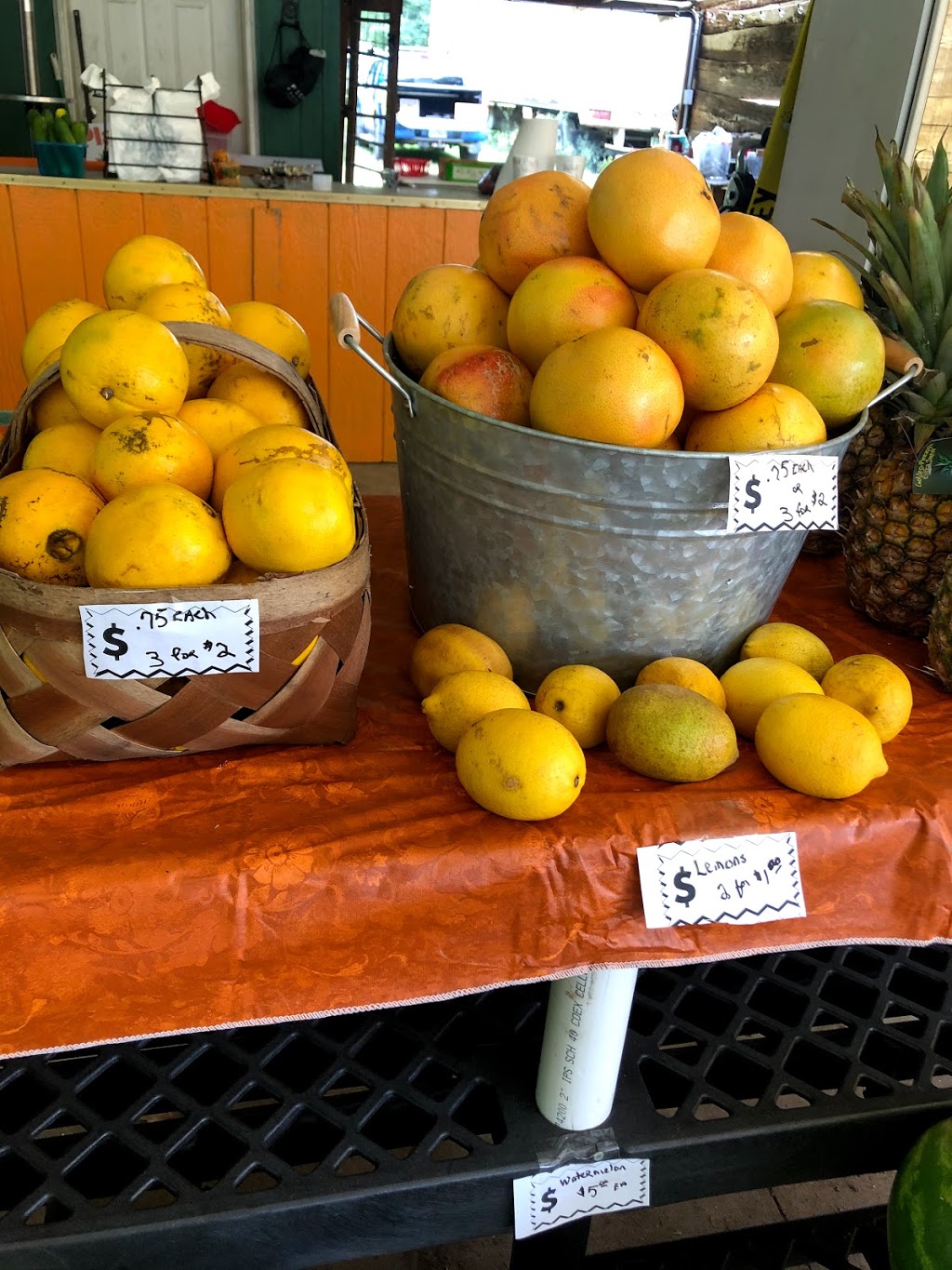 579 Produce Market | 6411 County Rd 579, Seffner, FL 33584 | Phone: (813) 833-3981