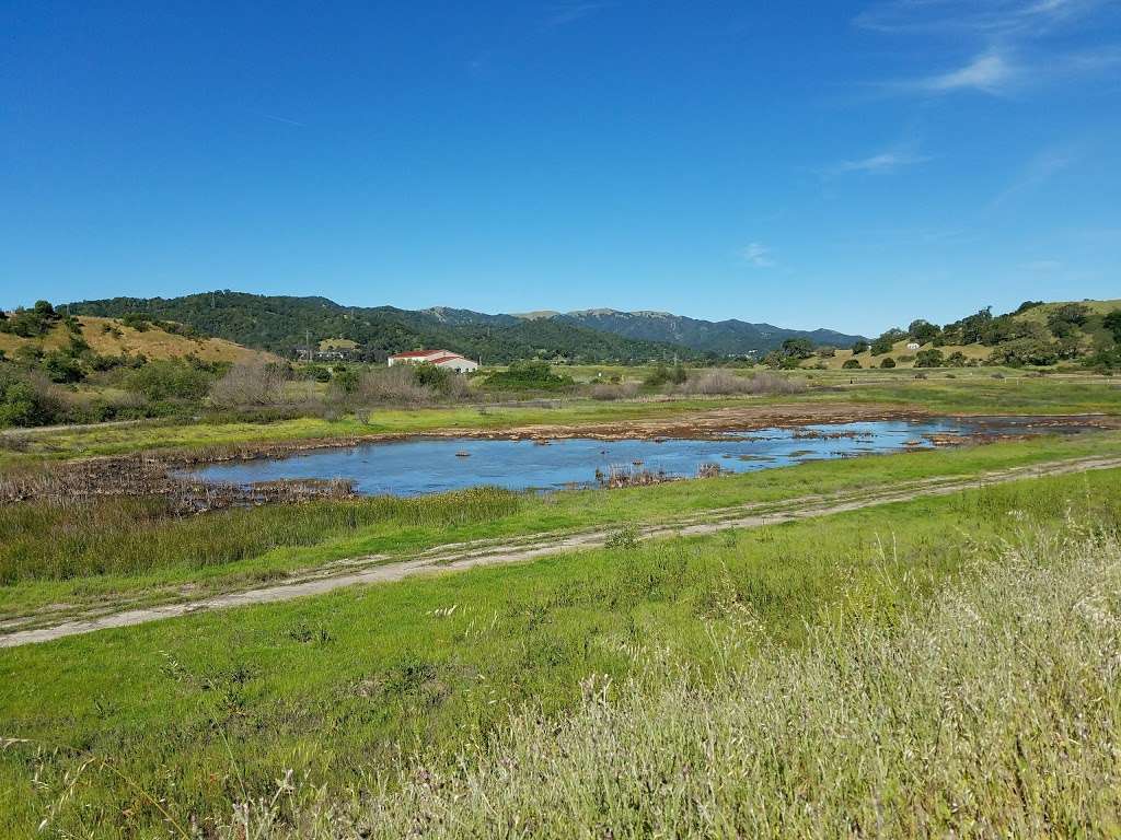 Hamilton Wetlands | Novato, CA 94949, USA