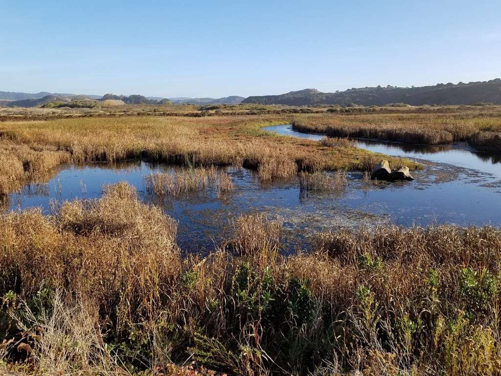 Pescadero Marsh Natural Preserve | New Years Creek Rd, Pescadero, CA 94060, USA | Phone: (650) 593-3281