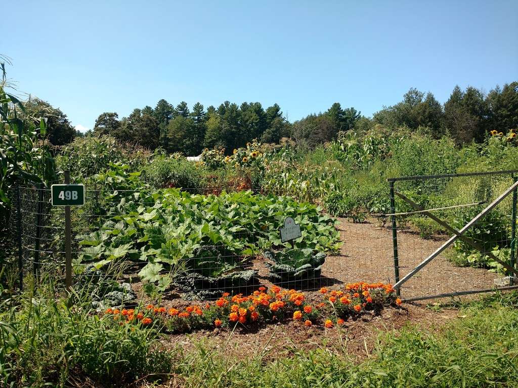 Greeley park Victory Garden | 21 Bates Dr, Nashua, NH 03064, USA | Phone: (603) 589-3370