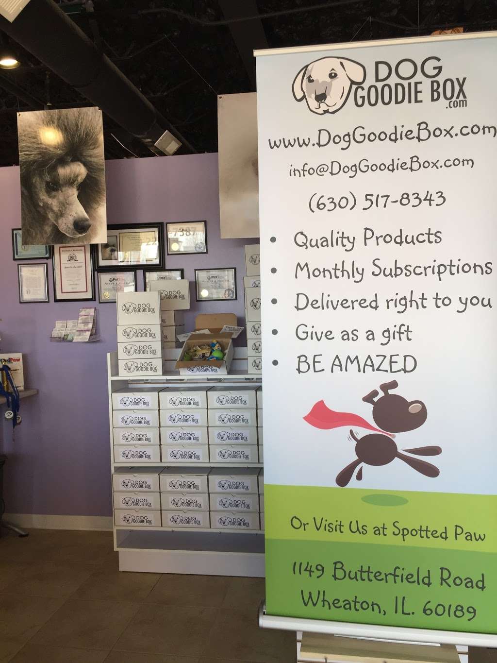 Dog Goodie Box | 1149 East Butterfield Road, Wheaton, IL 60189, USA | Phone: (630) 517-8343
