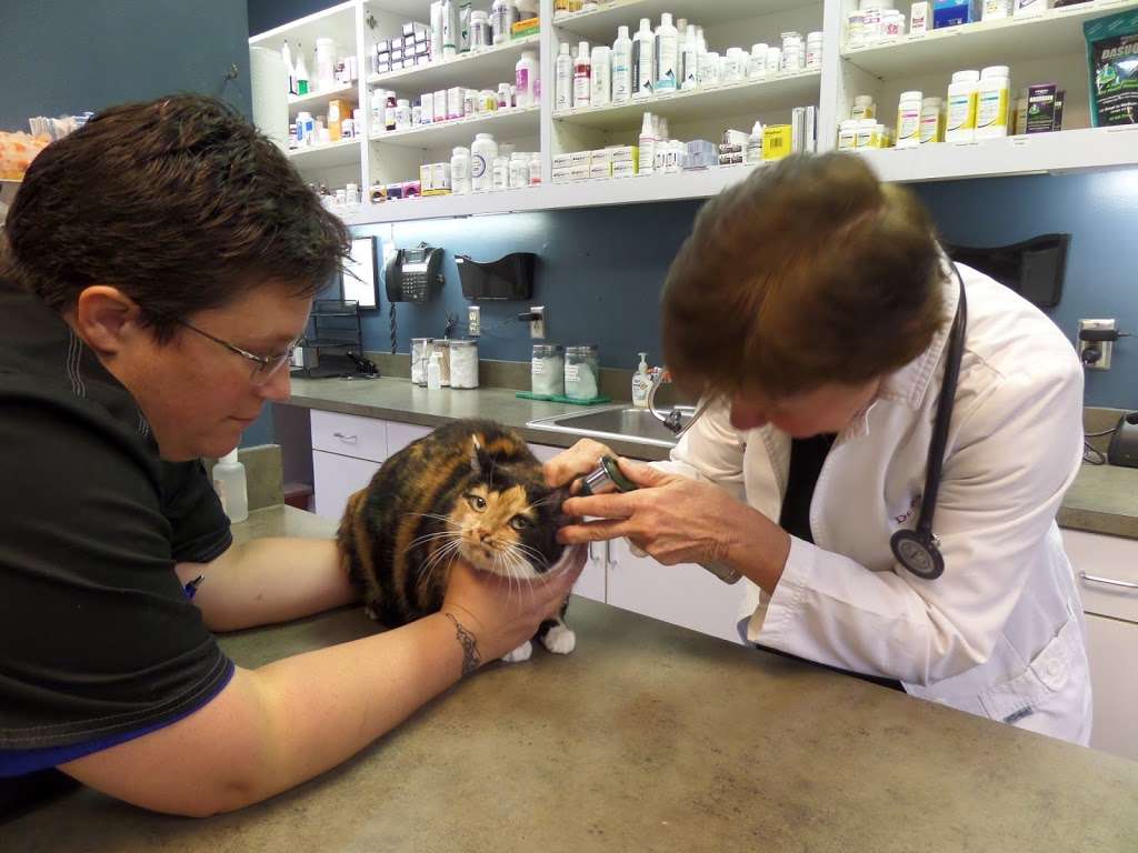 Brazos Bend Animal Hospital 3361 721 Farm To Market 359 Richmond Tx 77406 Usa