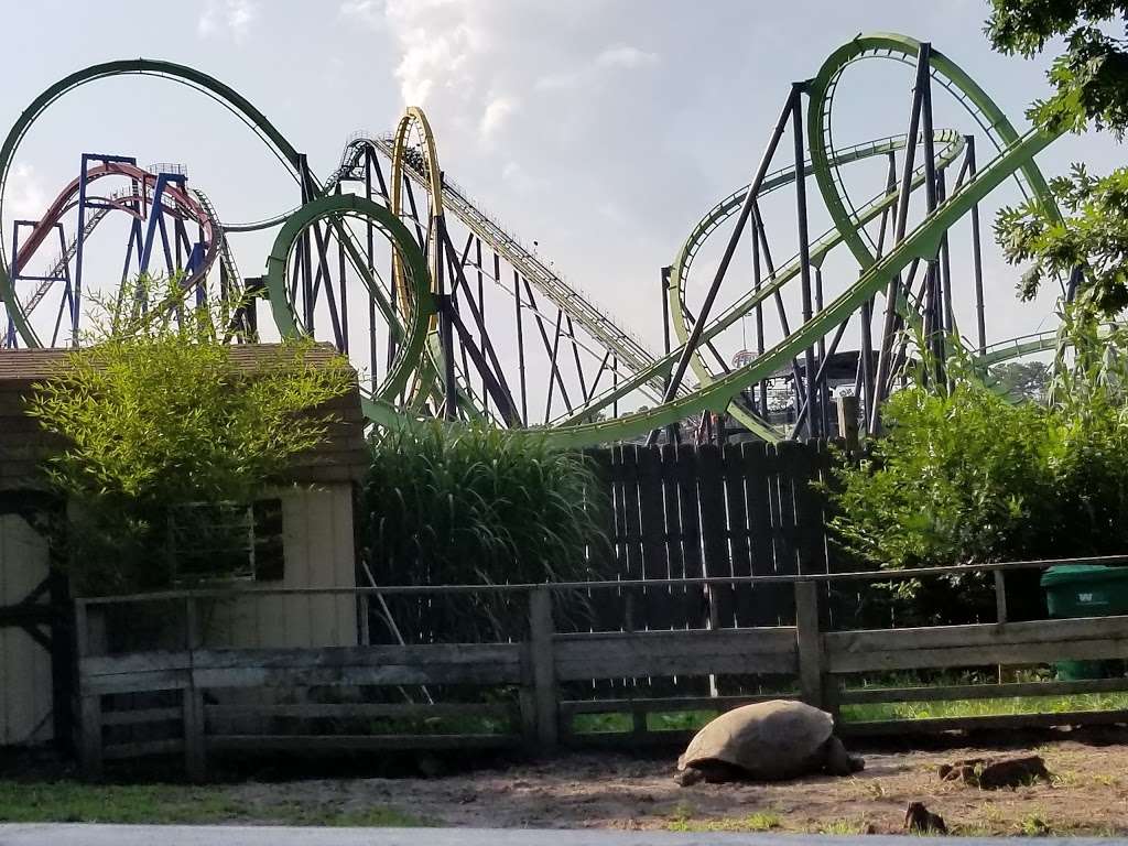 Six Flags Great Adventure | Jackson, NJ 08514, USA