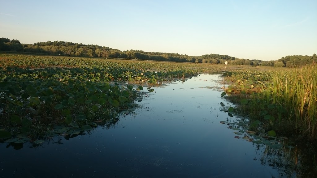 Great Meadows National Wildlife Refuge | 73 Weir Hill Rd, Sudbury, MA 01776, USA | Phone: (978) 443-4661