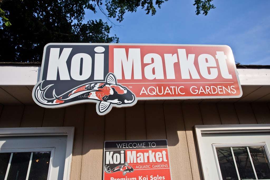 Koi Market Aquatic Gardens | 475 Main St, Huntington, NY 11743, USA | Phone: (516) 809-6771