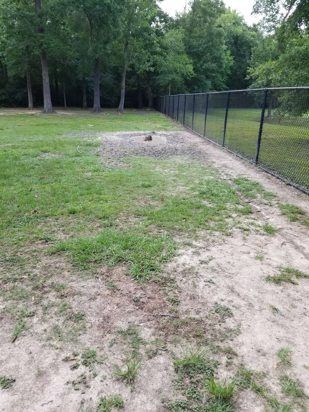 Dog Park | 7500 Bay Area Blvd, Houston, TX 77058