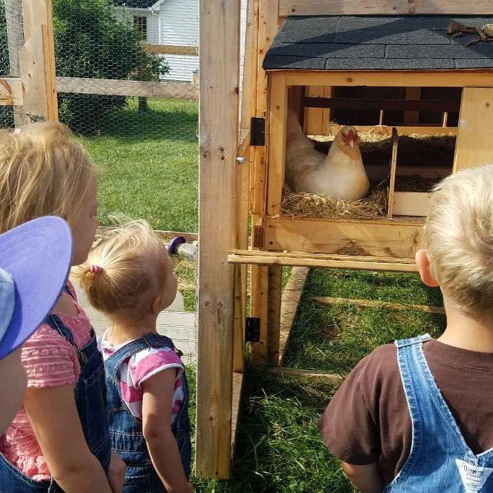 Farm School | 38580 Little Hampton Ln, Hamilton, VA 20158 | Phone: (703) 269-8614