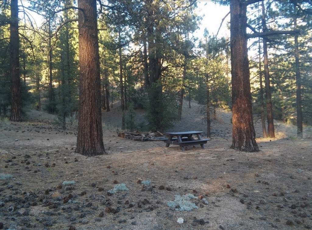 Lily Meadows Campground | Maricopa, CA 93252, USA