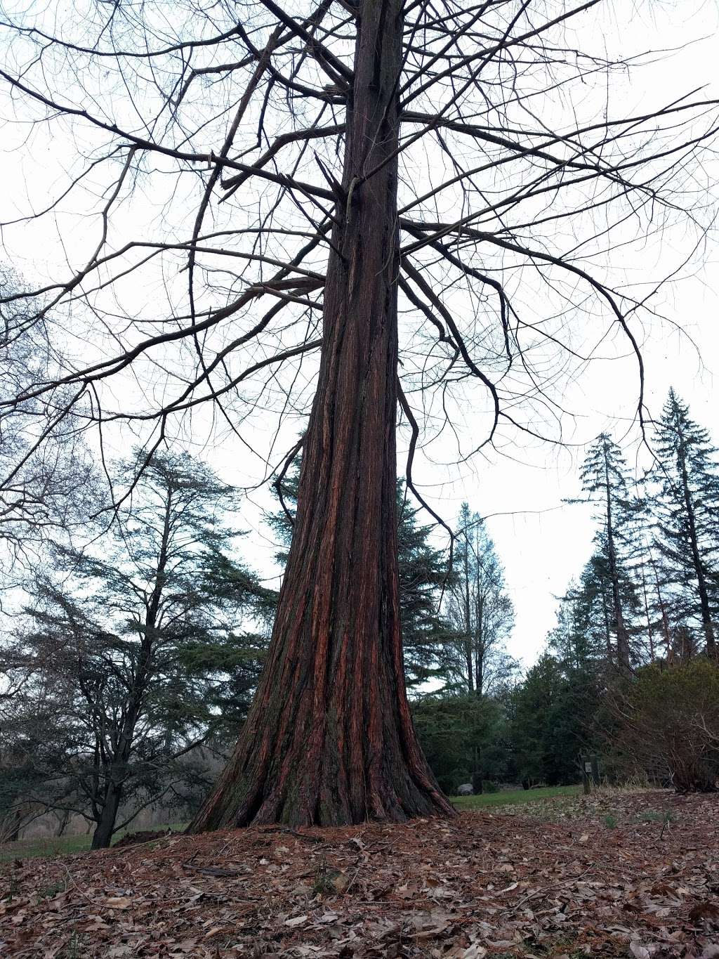 David C. Shaw Arboretum | Holmdel Park, Pond Walk, Holmdel, NJ 07733, USA