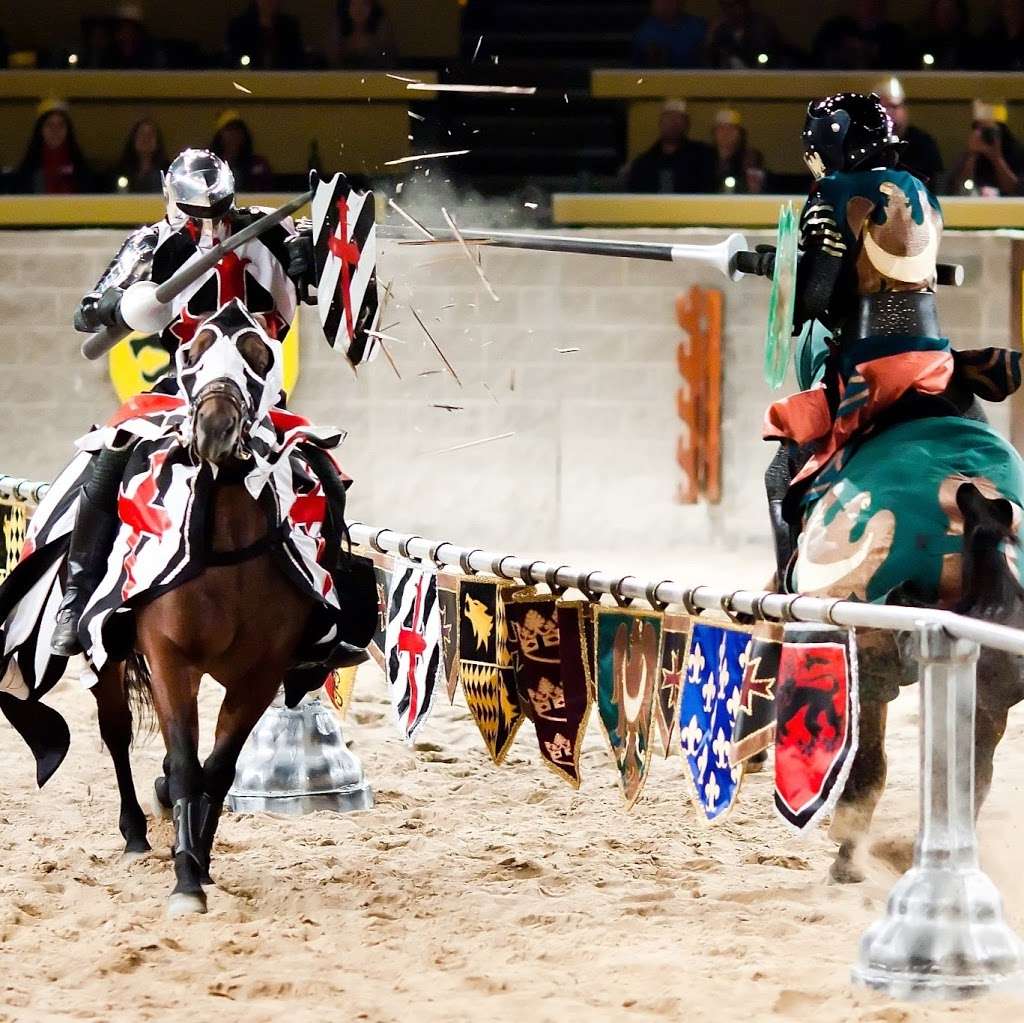 Medieval Times Dinner & Tournament | 2001 N Roselle Rd, Schaumburg, IL 60195, USA | Phone: (847) 882-1496