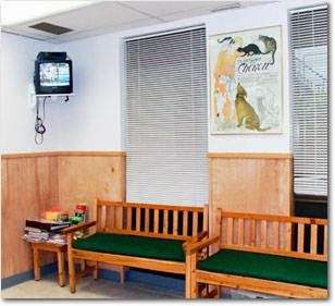 Norton Animal Hospital | 147 W Main St, Norton, MA 02766, USA | Phone: (508) 285-9822