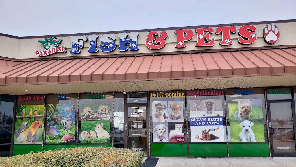 Paradise Fish and Pets | 5344 FM 1960, Atascocita, TX 77346 | Phone: (832) 644-5025