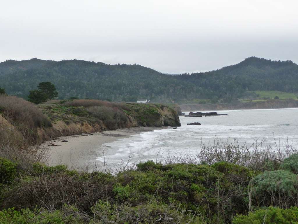 Año Nuevo State Park | California