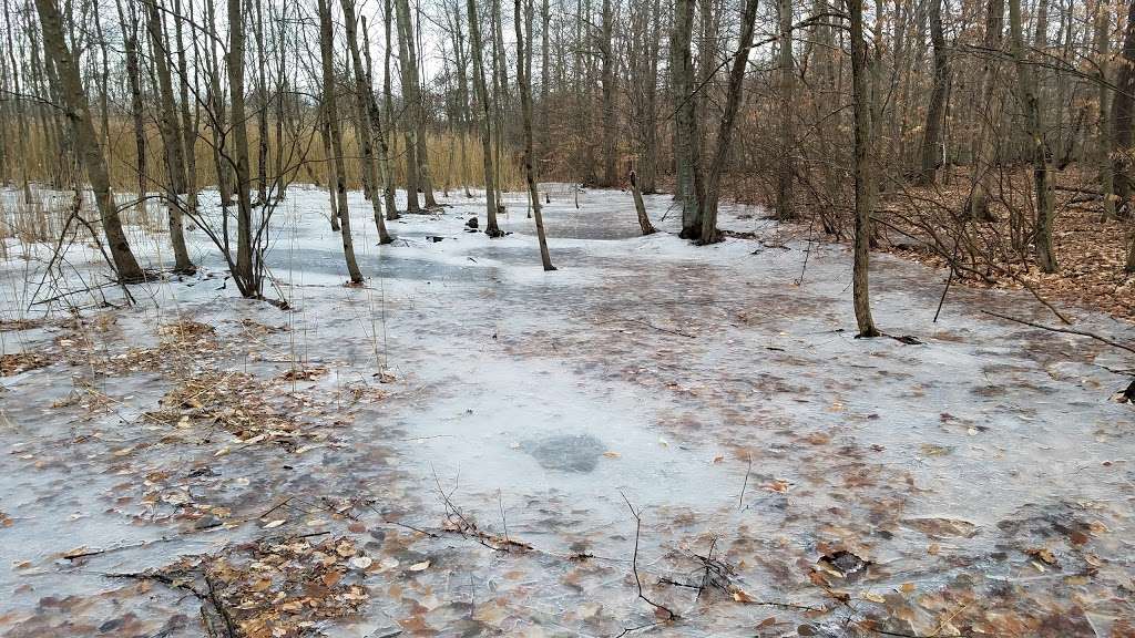 Great Swamp National Wildlife Refuge Wilderness | Green Village, NJ 07935, USA