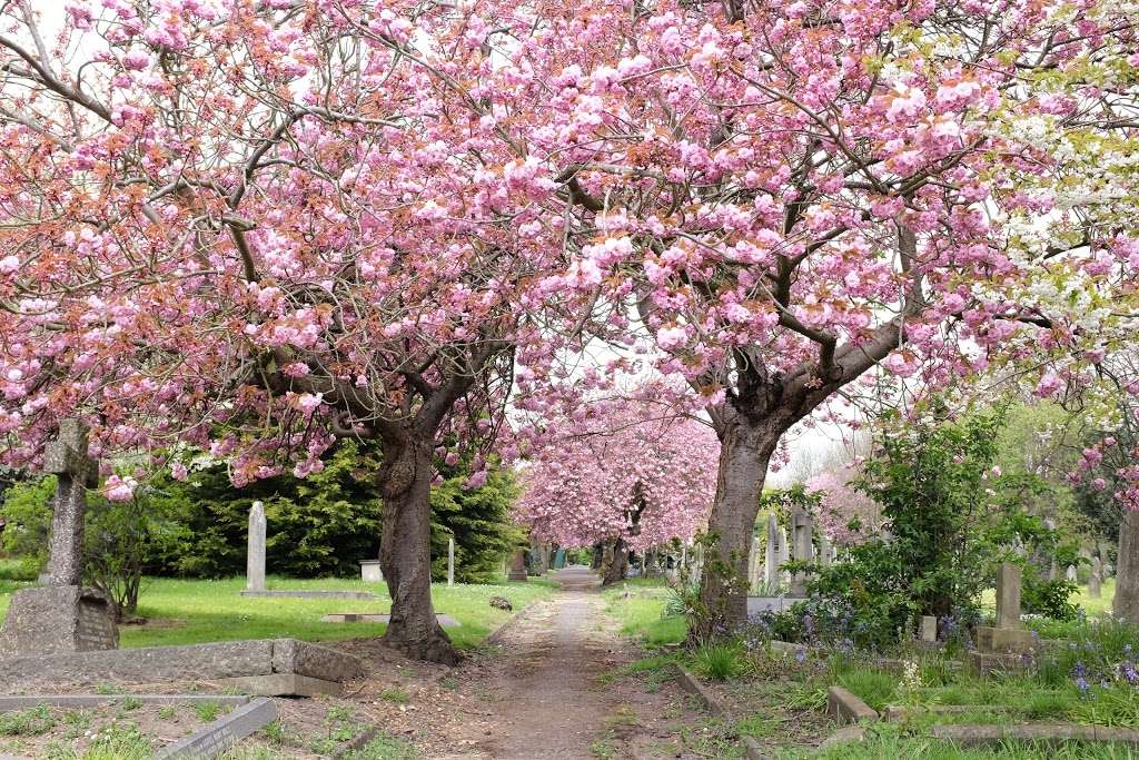 Fulham Palace Road Cemetery | 62 Bronsart Rd, Fulham, London SW6 6AB, UK