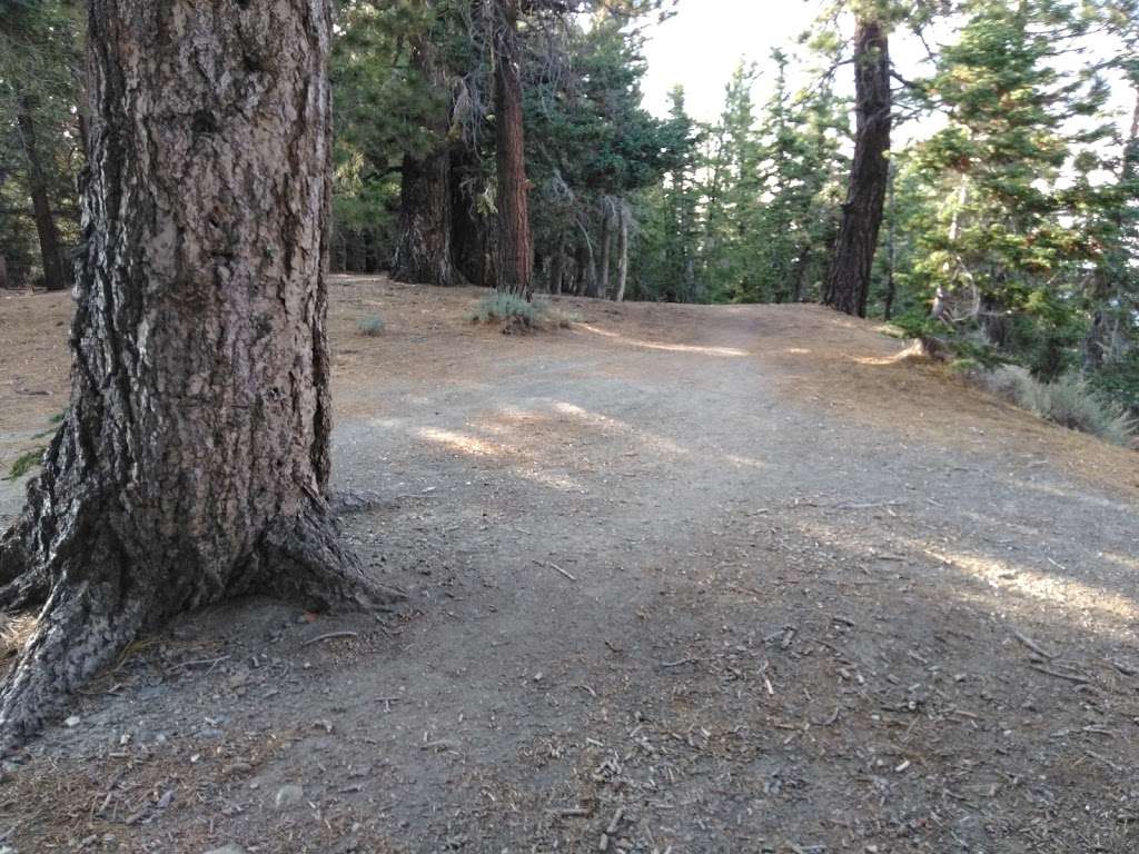 North Backbone Trail Head | Blue Ridge Truck Trail, Lytle Creek, CA 92358