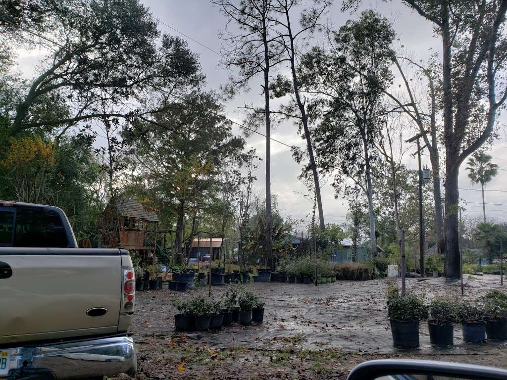 Nichols nursery and landscape LLC. | 15746 FL-19, Groveland, FL 34736 | Phone: (352) 557-1578