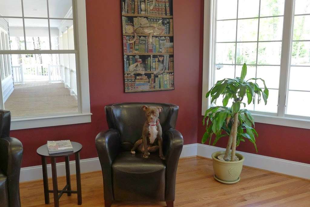 Family Veterinary Clinic | 1413 Defense Hwy #100, Gambrills, MD 21054, USA | Phone: (410) 721-4545