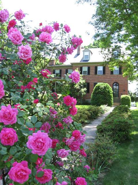 The Jackson Rose Bed & Breakfast | 1167 Washington St, Harpers Ferry, WV 25425, USA | Phone: (304) 535-1528