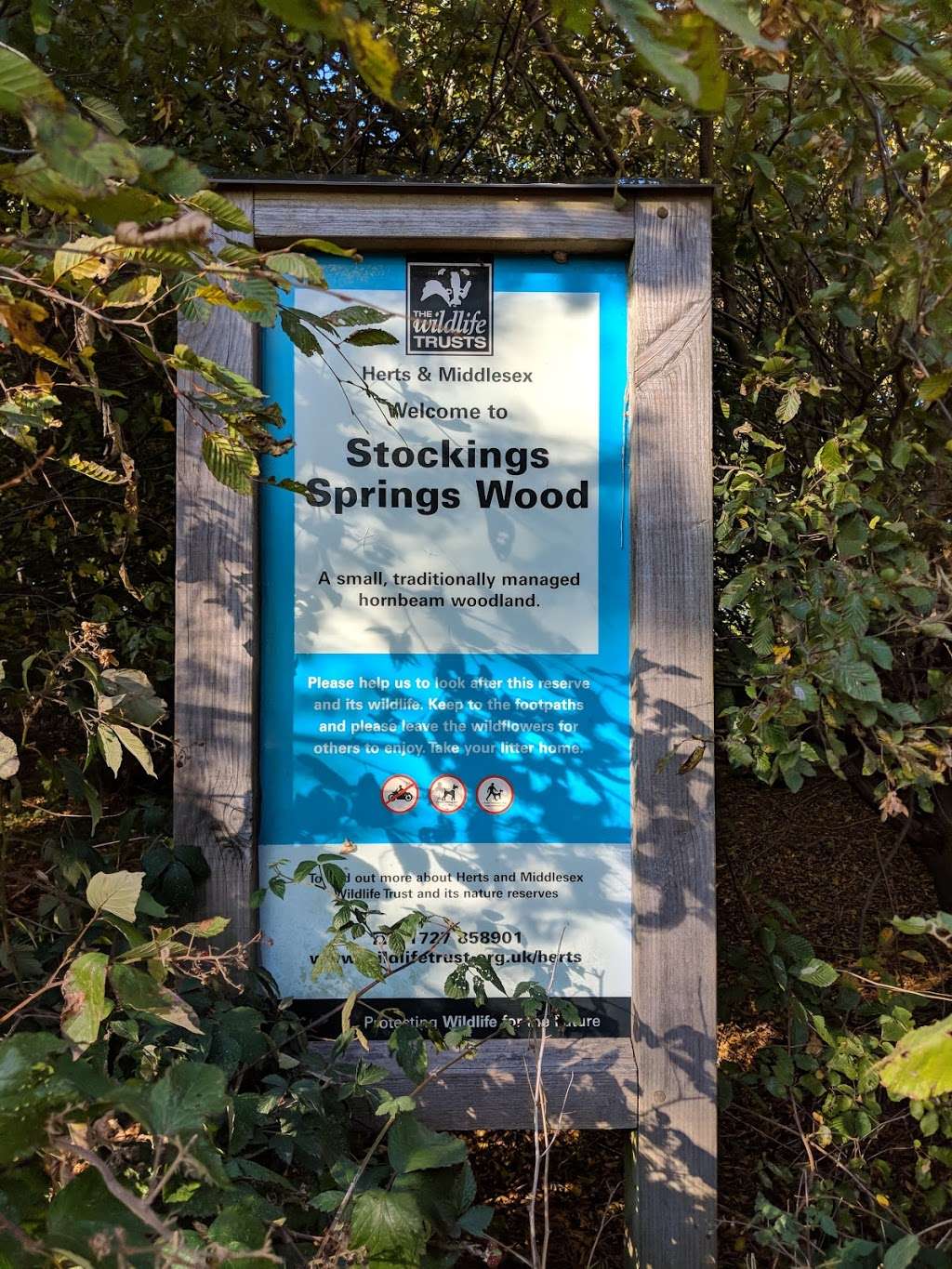 Stocking Springs Wood | Ayot St Lawrence, Welwyn AL6 9BL, UK