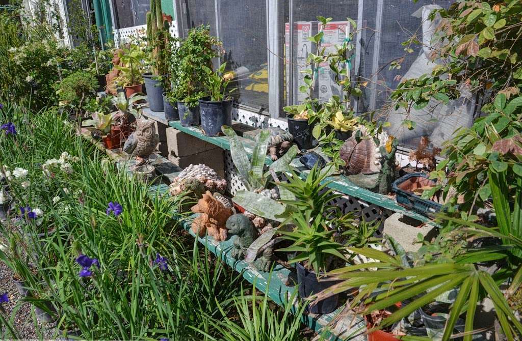 Campos Materials Garden Center (Steves Valley Nursery) | 28221 Kalmia Ave, Moreno Valley, CA 92555, USA | Phone: (951) 242-8080