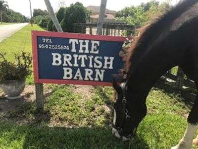 The British Barn | 17640 SW 52nd Ct, Southwest Ranches, FL 33331 | Phone: (305) 491-9333