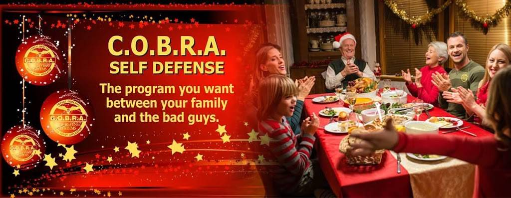 COBRA Self Defense - St Pete/Pinellas Park | 4400 34th St N, St. Petersburg, FL 33714, USA | Phone: (727) 392-3198