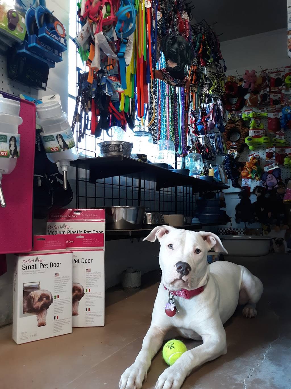 Barkers Pet Suplies | 15250 River Rd, Guerneville, CA 95446, USA | Phone: (707) 869-8090