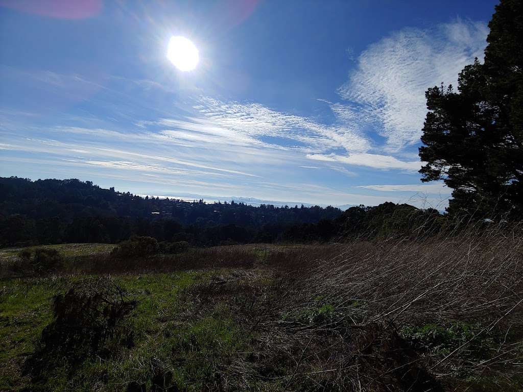 Big springs trailhead | S Park Dr, Orinda, CA 94563, USA