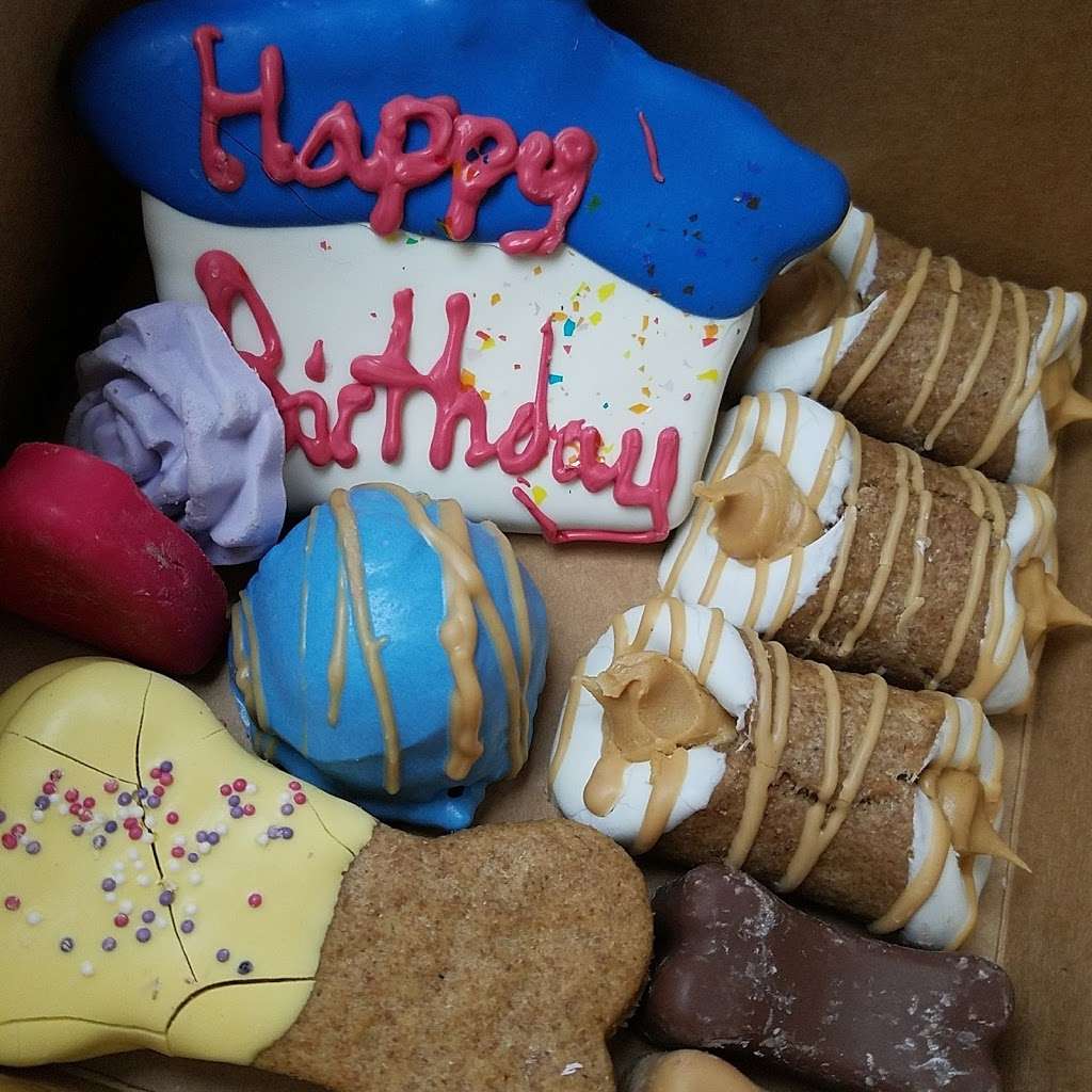 Big Biscuit Bakery & Pet Supply | 7 Forge Pkwy, Franklin, MA 02038 | Phone: (508) 528-4792