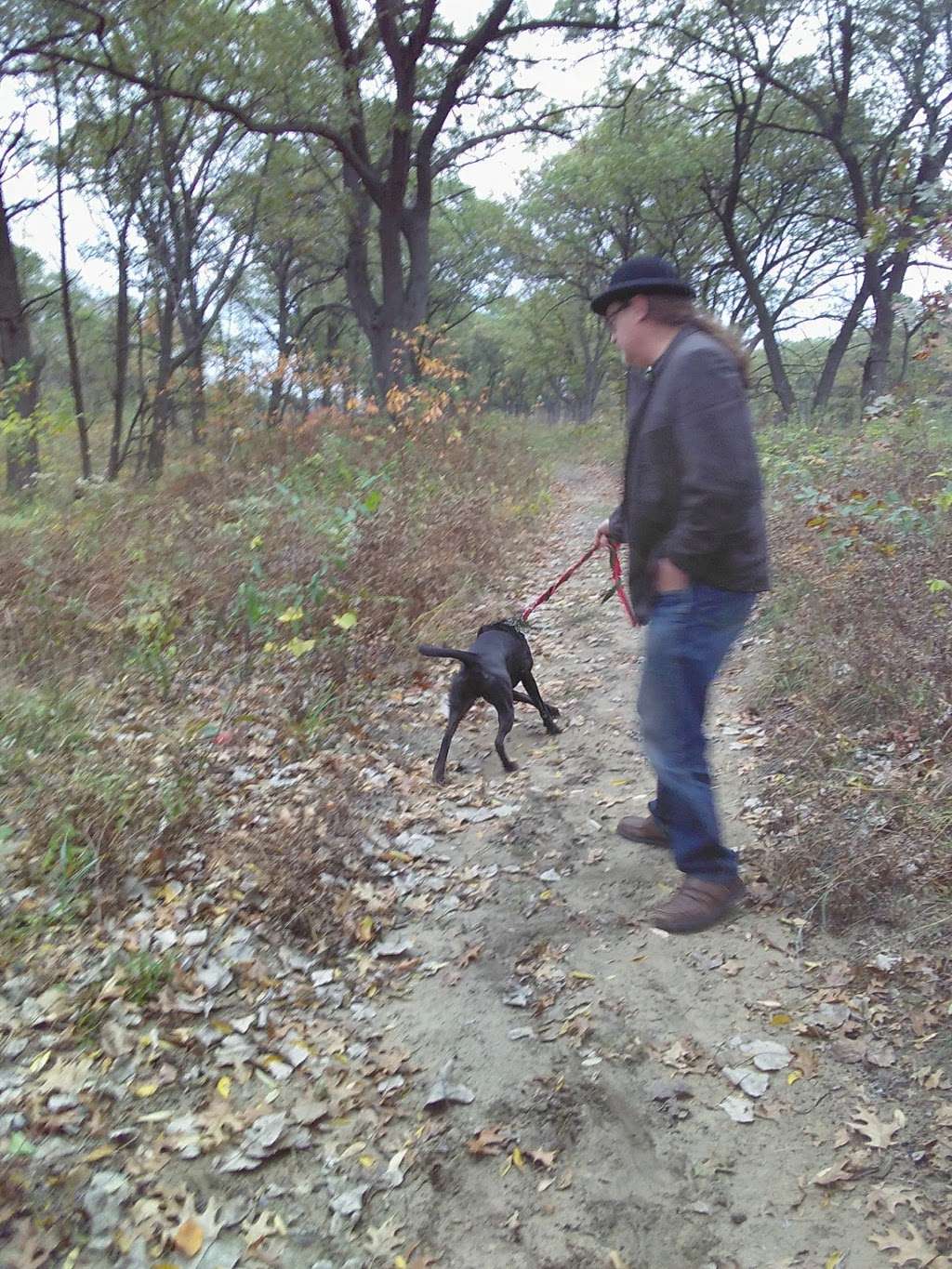 Ivanhoe South Nature Preserve / Shirley Heinze Land Trust | Colfax St, Gary, IN 46406, USA | Phone: (219) 242-8558