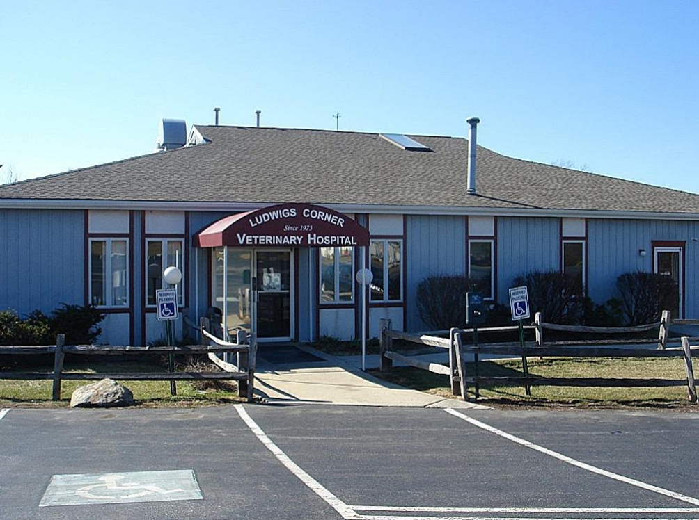 Ludwigs Corner Veterinary Hospital | 915 Pottstown Pike, Chester Springs, PA 19425, USA | Phone: (610) 458-8567