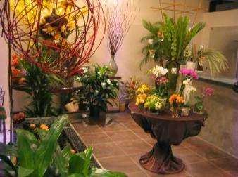 Franz James Floral Boutique | 2114 Frederick Douglass Blvd, New York, NY 10026, USA | Phone: (212) 531-1400