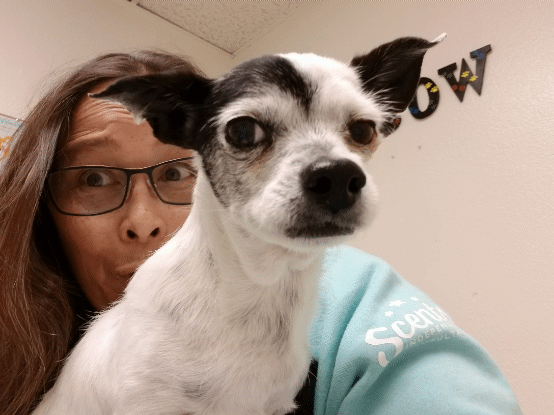 Southern Kern Veterinary Clinic, Inc | 4455 Rosamond Blvd, Rosamond, CA 93560, USA | Phone: (661) 256-8121