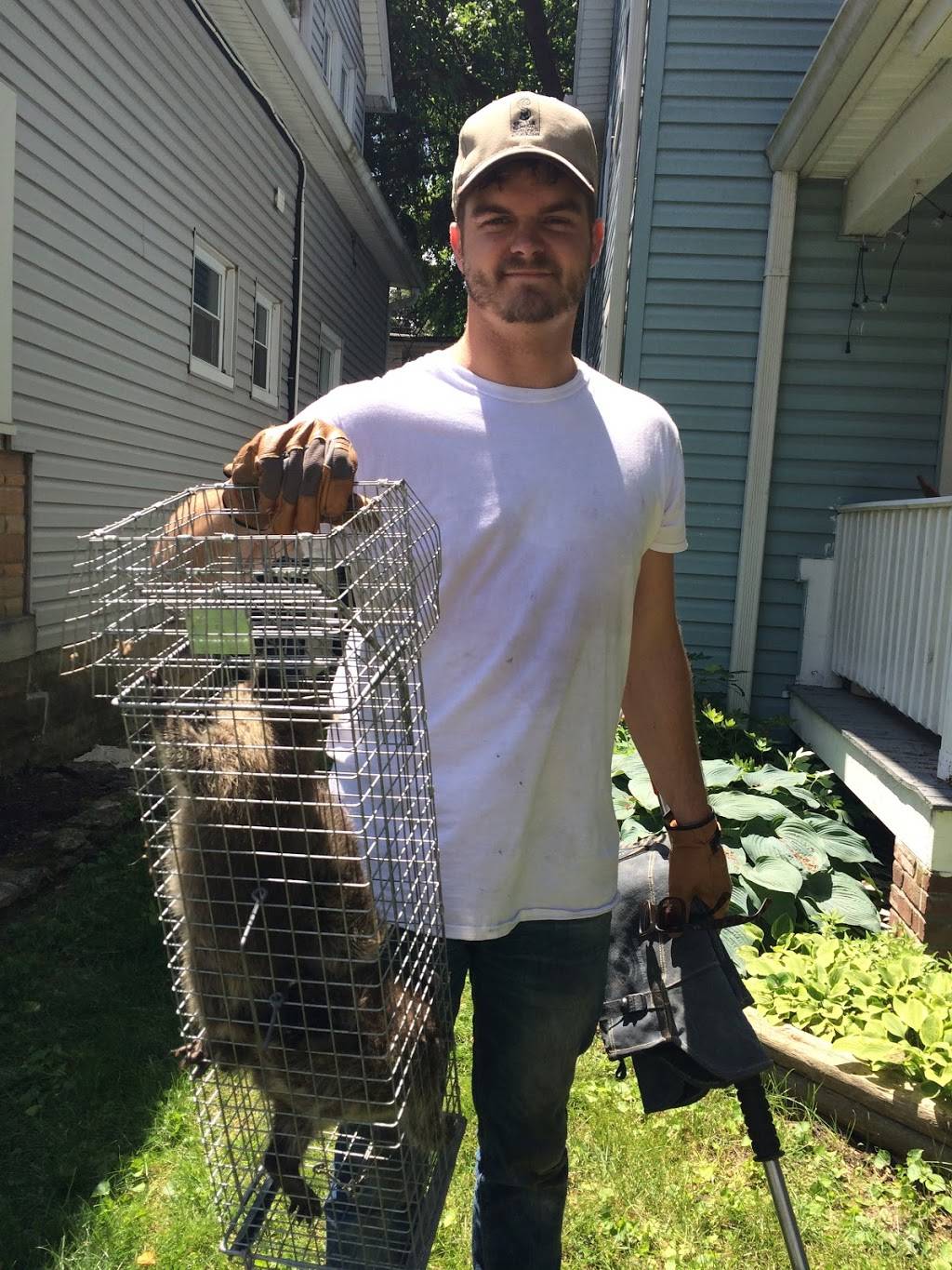 Critter Removal Indianapolis | 4998 Riverview Dr, Indianapolis, IN 46208, USA | Phone: (317) 514-0898