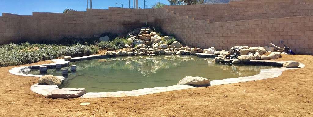 Pacific Ponds & Design | 9944 Sunland Blvd, Sunland-Tujunga, CA 91040 | Phone: (818) 400-0286