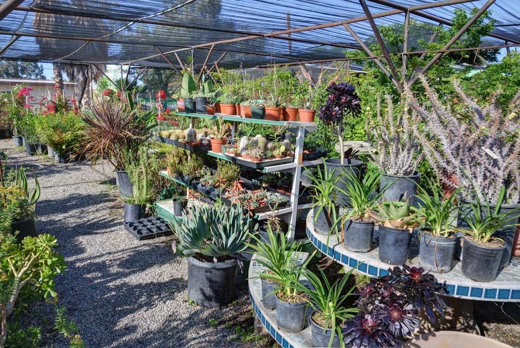 Campos Materials Garden Center (Steves Valley Nursery) | 28221 Kalmia Ave, Moreno Valley, CA 92555, USA | Phone: (951) 242-8080