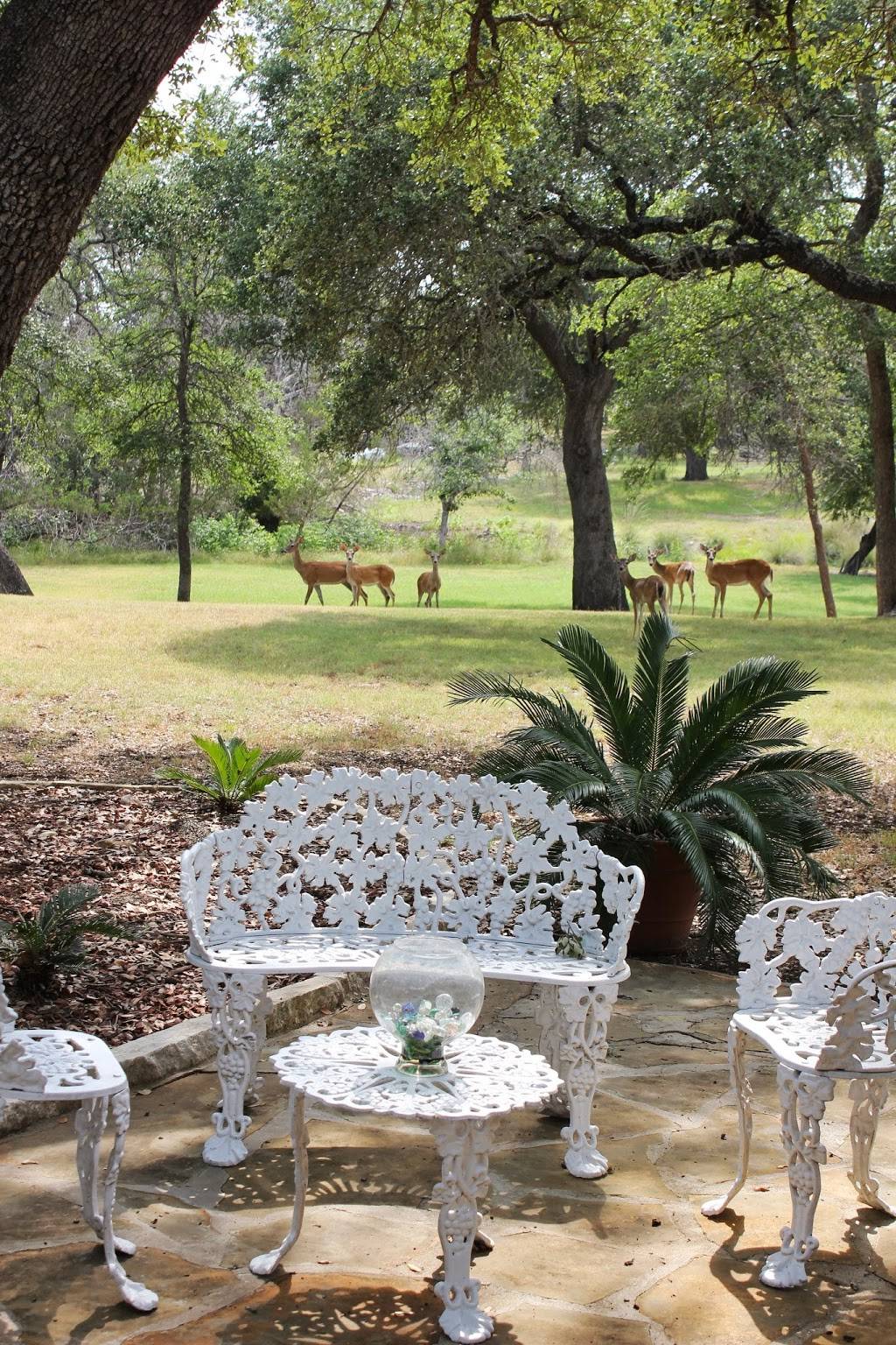 Deer Run Bed and Breakfast | 20 Long Creek Rd, Austin, TX 78737, USA | Phone: (512) 633-5595